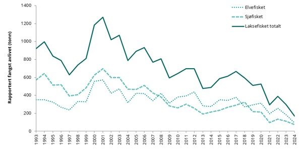 Laksefiske%20i%20elv%20og%20sj%F8%20fra%201993%20til%202024.