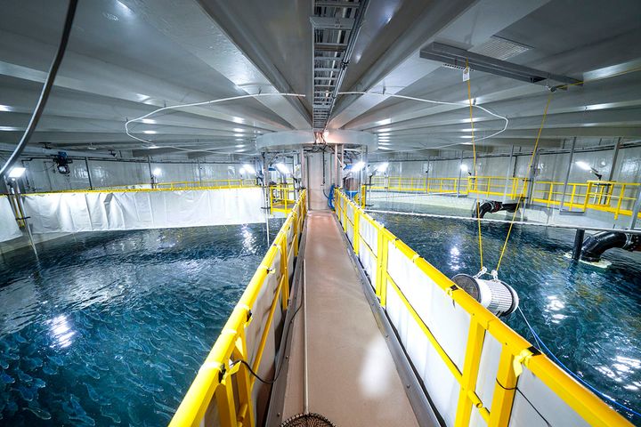 Bilde av landbasert anlegg for fiskeoppdrett.