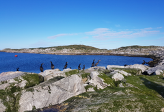 Miljødirektoratet foreslår å utvide Sklinna naturreservat i Leka i Trøndelag, eit viktig område for sjøfugl, med 10 000 dekar. Her bur ein av verdas største koloniar av toppskarv.