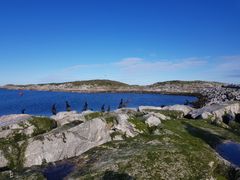 Miljødirektoratet foreslår å utvide Sklinna naturreservat i Leka i Trøndelag, et viktig område for sjøfugl, med 10 000 dekar. Her bor en av verdens største kolonier av toppskarv.