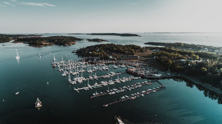 Det er anlagt mange bryggeanlegg langs Oslofjorden. De bør legges til områder der det ikke fins gruntvannsområder med verdifulle naturtyper. Bildet er fra Skjæløy i Østfold. Her finnes både et bløtbunnsrområde i strandsonen og ålegras.
