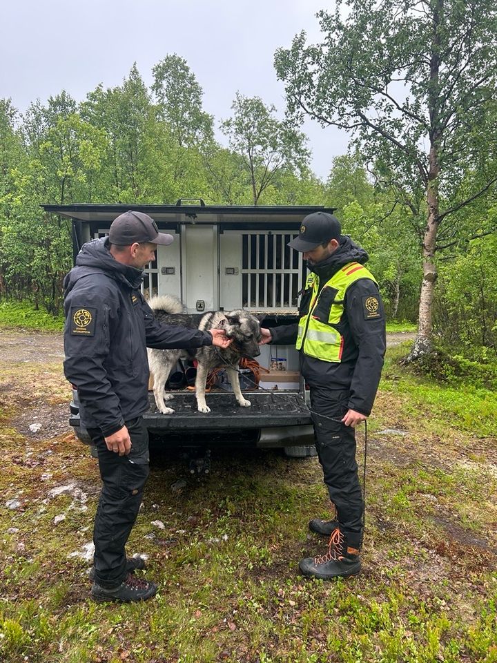Bilde av to ansatte i Statens naturoppsyn og en hund ved siden av en bil.
