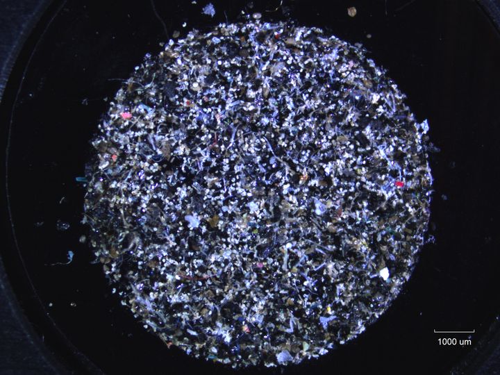 Bilde av mikroplast i mikroskop