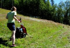 Slått er eit viktig tiltak i slåttemark, for å bevare naturtypen og det store mangfaldet av artar som lever der. Her blir det brukt ei lett tohjuls slåmaskin i Tinn i Telemark. Slåttemark er ein utvald naturtype.