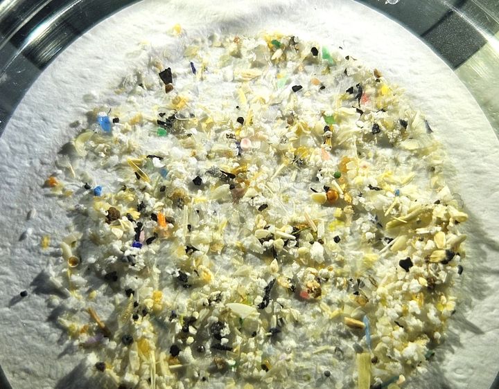 Bilde av små biter isopor fra prøvetaking