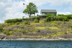 Gravbergknapp som breier om seg på open kalkmark.