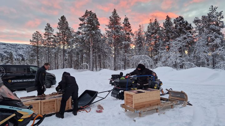 Ansatte%20fra%20SNO%20og%20NINA%20med%20sn%F8scootere%20og%20fjellrever%20i%20bur.