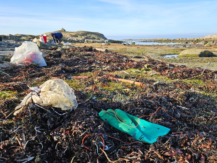 Strandsøppel i tang og horisont