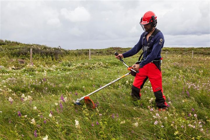 Ein person i verneutstyr bruker ein kantklippar i ei eng med høgt gras og ville blomstrar.