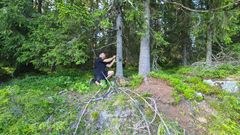 Henger opp viltkamera