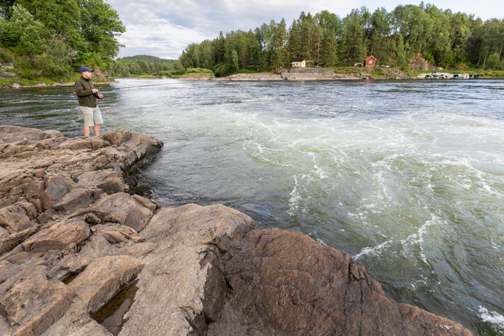 Fisker i Numedalslågen