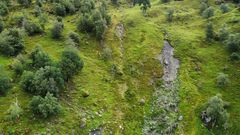 Amanda DiBiagio har forsket på skogens evne til å hindre jordskred i Flåmsdalen. Mens hun holdt på, gikk det et skred rett ved siden av feltstasjonen hennes. Skredet var ti meter bredt og rant 200 meter ned dalsiden. DiBiagios sensorer sto rundt 200 meter unna, i bjørkeskogen til venstre i bildet.