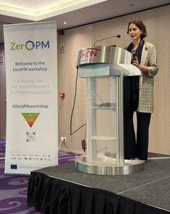 – EUs mål om null forurensning innen 2050 ligger fast, men vi er fortsatt langt unna å nå det i dag, sa Veronica Manfredi, direktør for Zero Pollution, Water Resilience & Green Urban Transition i EU-kommisjonen.