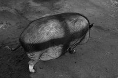 Tom Sandberg, Untitled, 2008.Tom Sandberg Foundation. ©Tom Sandberg / BONO, Oslo 2025