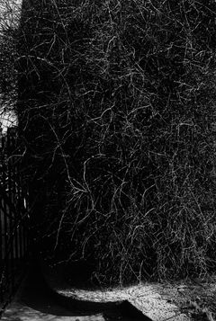 Tom Sandberg, Untitled, 1980. Tom Sandberg Foundation. ©Tom Sandberg / BONO, Oslo 2025