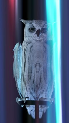 Ann Lislegaard, Oracles, Owls... Some Animals Never Sleep (BR 1982), 2012-2022, stillbilde fra video. Henie Onstad-samlingen. Installasjonsfoto: Anders Sune Berg