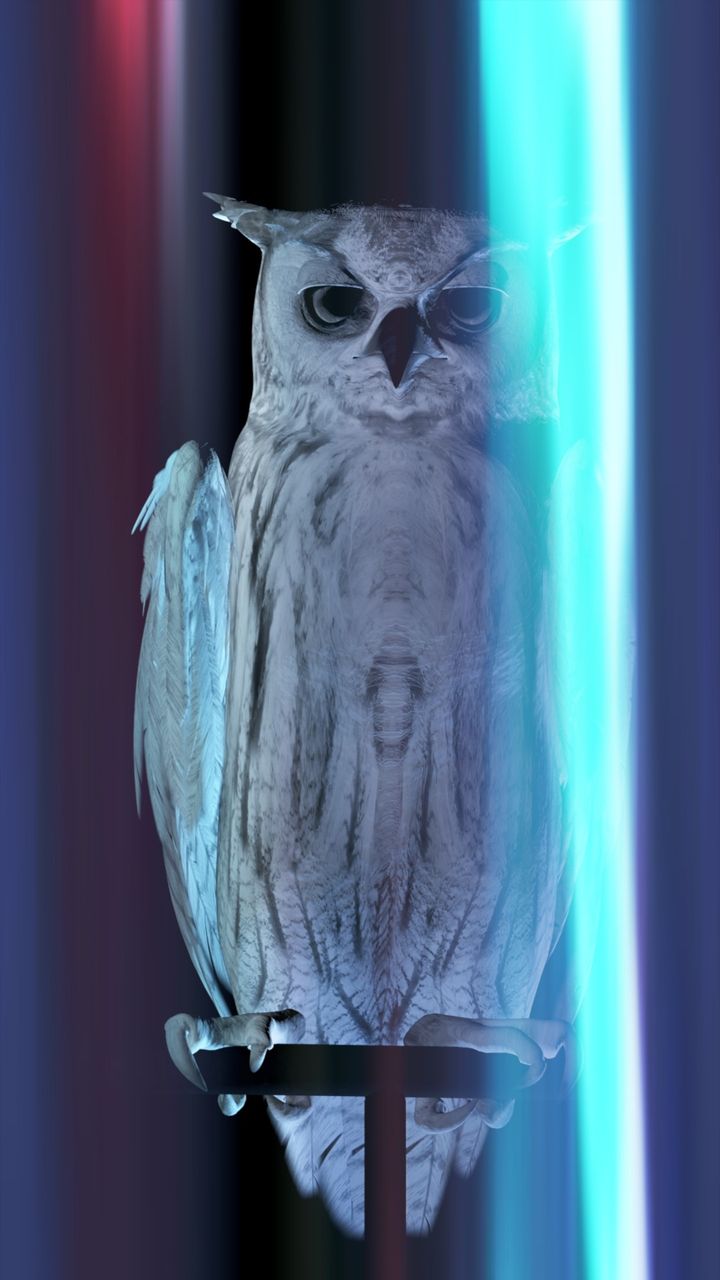 Ann Lislegaard, Oracles, Owls... some animals never sleep (BR 1982), 2012-2022. Henie Onstad-samlingen. Installasjonsfoto: Anders Sune Berg