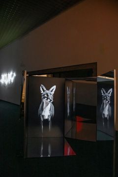 Installation photo: ØysteinThorvaldsen / Henie Onstad Kunstsenter