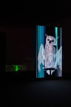 Installation photo: ØysteinThorvaldsen / Henie Onstad Kunstsenter