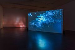 Ann Lislegaard, Malstrømmen, 2017, 3D animation and sound. Installation photo from Myths of the New Future: Entangled, FotoNoviembre Biennale, TEA, Tenerife, Spania, 2019, photo: Virginia Navarro