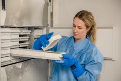 En kvinne ser på biobankmateriale