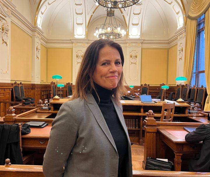 Anita Ellefsen, Leder, Ideelt Nettverk