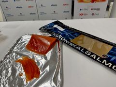 Mikals laks fra Hjelmeland vant NM-gull for sin kaldrøkte ørret under NM i sjømat i Trondheim.