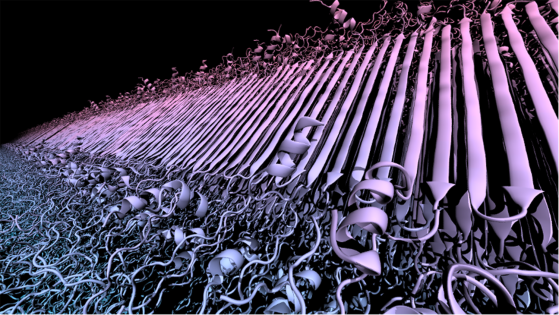 Visualisering av proteinopphopninger assosiert med Huntingtons sykdom, fremstilt ved å kombinere simuleringer og flere komplementære typer eksperimenter.