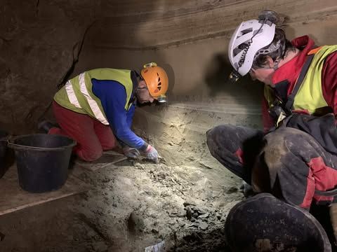 Fra utgravingene i 2022- 2023. Samuel Walker (CEES, UiO) og Trond Lødøen (Bergen Universitetsmuseum) gjør nye utgravinger i større skala enn tidligere. Disse utgravingene har gitt mye og nytt materiale for molekylærbiologisk analyse av Sanne Boessenkol ved CEES.