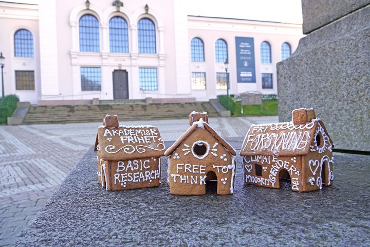 Den akademiske pepperkakebyen står på Universitetsmuseet hele desember.