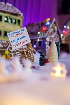 Den akademiske pepperkakebyen på Universitetsmuseet i Bergen.