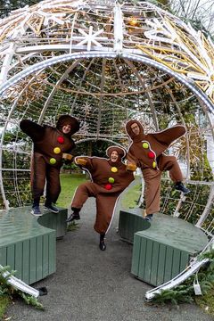 Sammen med nissen, vil disse evende pepperkakene besøke Julelørdag på museet.