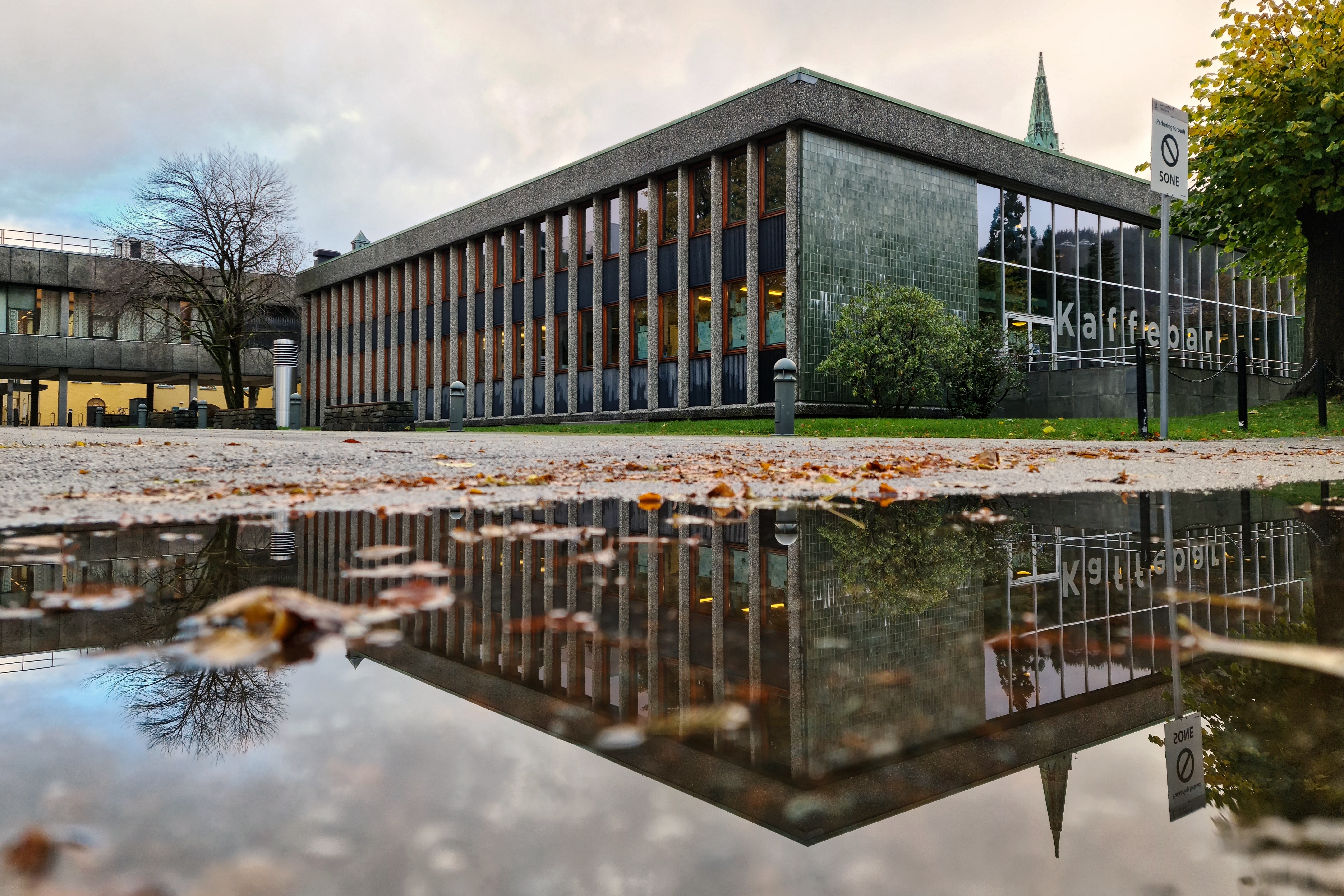 Ti år med Språksamlingene: UiB løfter norsk språk for hele landet