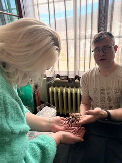 Publikum fikk håndhilse på edderkopper og andre levende småkryp på nært hold.