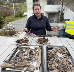 Paleontolog Hanneke J.M. Meijer viser frem en samling av forhistoriske dyrebein som er gravd ut på stedet.