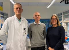 Senteret vil bli leia av professorane Stian Knappskog, Camilla Krakstad og Halfdan Sørbye, og utgår frå Klinisk institutt 2 ved Universitetet i Bergen, og Kreftklinikken og Kvinneklinikken ved Haukeland Universitessjukehus.