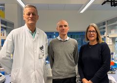 Senteret vil bli leia av professorane Stian Knappskog, Camilla Krakstad og Halfdan Sørbye, og utgår frå Klinisk institutt 2 ved Universitetet i Bergen, og Kreftklinikken og Kvinneklinikken ved Haukeland Universitessjukehus.