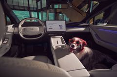 Nye XPENG P7+ sitt interiør er både menneske- og dyrevennlig. Varme/ventilering og massasje i forsetene er bare noe av standardutstyret du kan nyte.