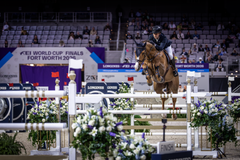 Johan-Sebastian Gulliksen og Equine America Harwich VDL måtte trekke seg før finalestart etter en skade under oppvarming.