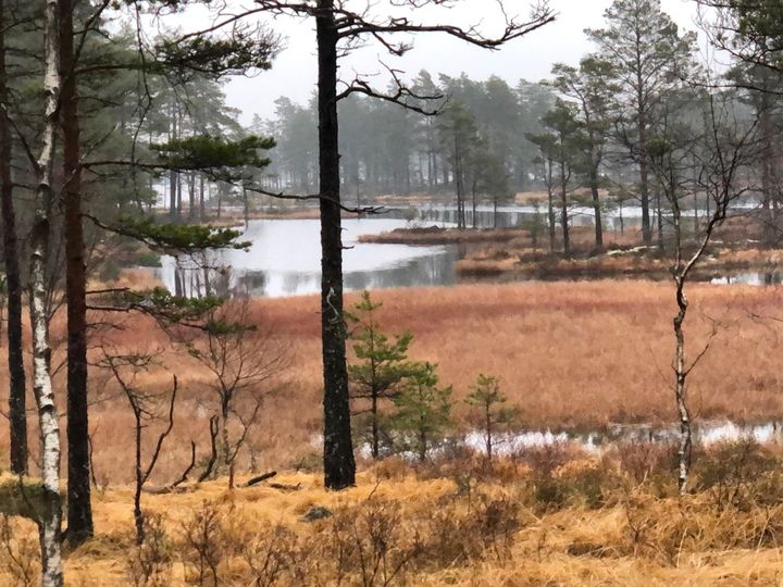 Natur i Aremark, uten vindturbiner
