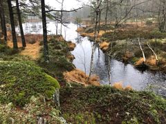 Natur i Aremark