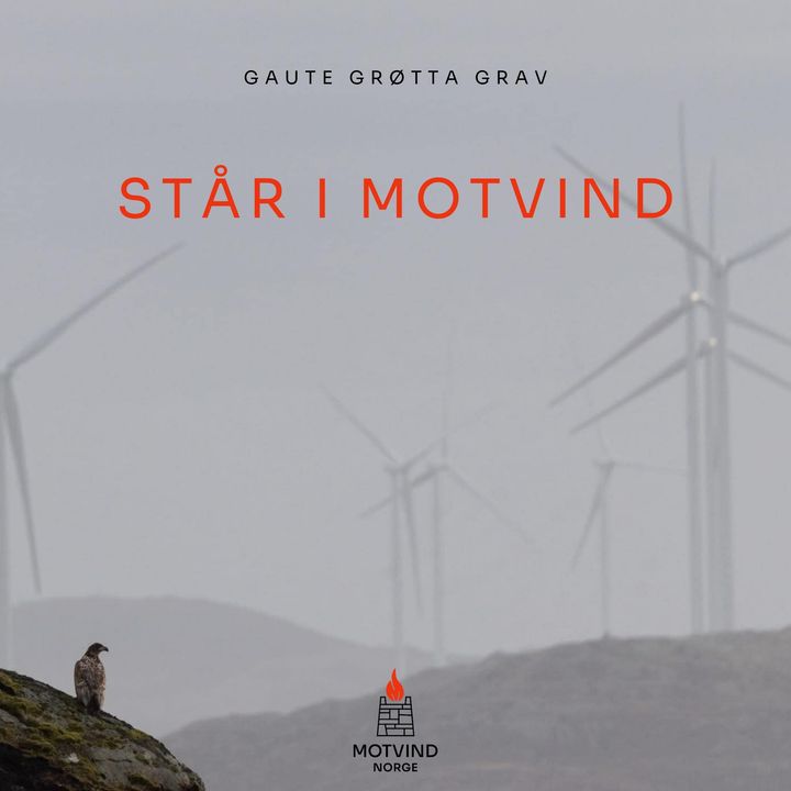 Slik ser coveret til låten "STÅR I MOTVIND" ut, med Gaute Grøtta Grav som vokalist.