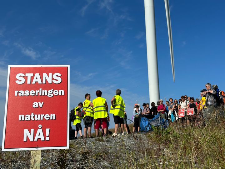 - Fra et helsefaglig ståsted er det liten tvil om at langvarige støyplager kan påvirke helsen negativt og medføre fare for helseskade, sier Folkehelseutvalget i Motvind Norge til NVE. Bildet tatt på Haramsøya, i Møre og Romsdal.