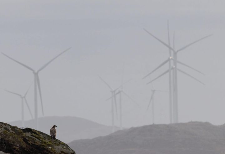 Norge har voksende problemer med nettkapasitet, tilknytningskø og prioritering av strøm mellom ulike formål. Nye kraftkrevende aktører, blant annet datasentre, legger ytterligere press på systemet. Mer vindkraft løser ikke dette.
