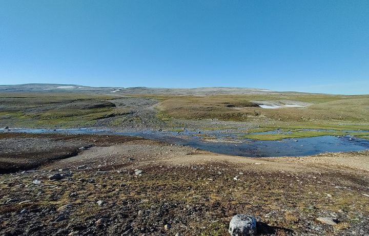 Davvi i Finnmark. (Foto: Egil Kvernmo)
