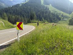 Bildet er tatt i Tirol og viser et litt gammeldags mc-rekkverk i Tirol. Det er intet å bli kuttet opp av. Nye, fjærende systemer under testing i Tyskland. Foto: Arve Lønnum, MCF
