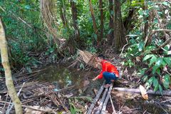 Gerardo Macuna Mirana urfolksterritoriet Yaigoje Apaporis i den Colombianske delen av Amazonas. Han har kjempet for regnskogen og urfolks rettigheter i flere tiår, og har flere ganger opplevd å bli truet på livet.