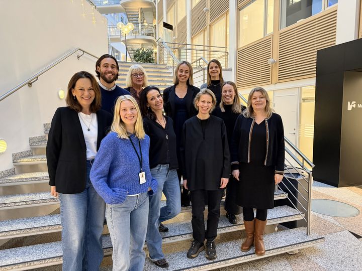 Skal lage Kvinnehelseportalen. Bak fra venstre: Sebastian Krohn (Increo), Elisabeth Swärd (Sanitetskvinnene), Kristin Engh Førde (Kilden kjønnsforskning.no), Maria Nydal (Nasjonalt senter for kvinnehelseforskning). Foran fra venstre: Ann-Kristin Selmer (Nasjonalt senter for kvinnehelseforskning), Ine Lind Skyrud (Kilden kjønnsforskning.no), Merethe Honne (Increo), Maja Folgerø (Bureau), Helena Egeland (Bureau) og Elin Rekdal Müller (Kilden kjønnsforskning.no).