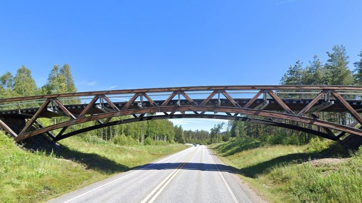 Bilde av en bru i tre som går over en trafikert veg, under blå himmel og omkranset av knallgrønt gress