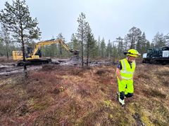 Frank Murland i Anlegg Øst entreprenør frakter myrmassene inn på den tørrlagte myra. En annen gausdøl, Amund Blikken, legger ut myrmassene grøftene. Anleggsvegen skal dekkes med topptorv fra riksveg 4 prosjektet.